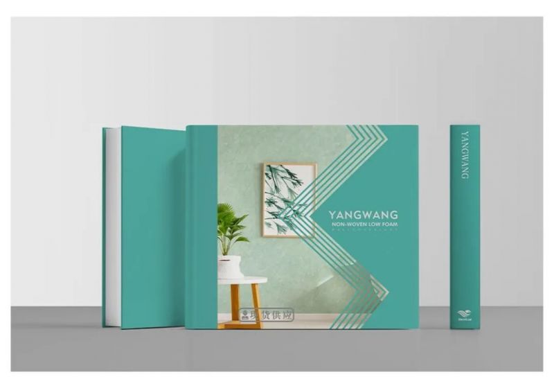煥新墻面美學，洛陽北臺新品《仰望》上市！